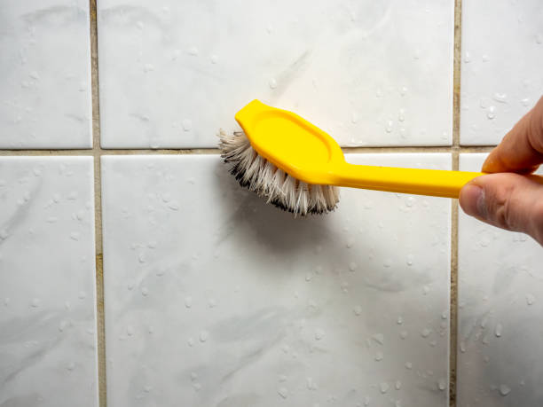 Sherrelwood, CO Mold Removal Company