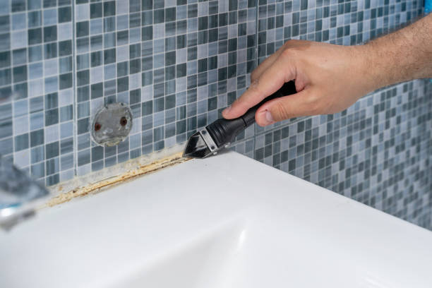 Best Mold Removal Near Me  in Sherrelwood, CO